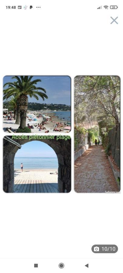 Studio Rdj Terrasse Piscine Sanary Sur Mer Εξωτερικό φωτογραφία
